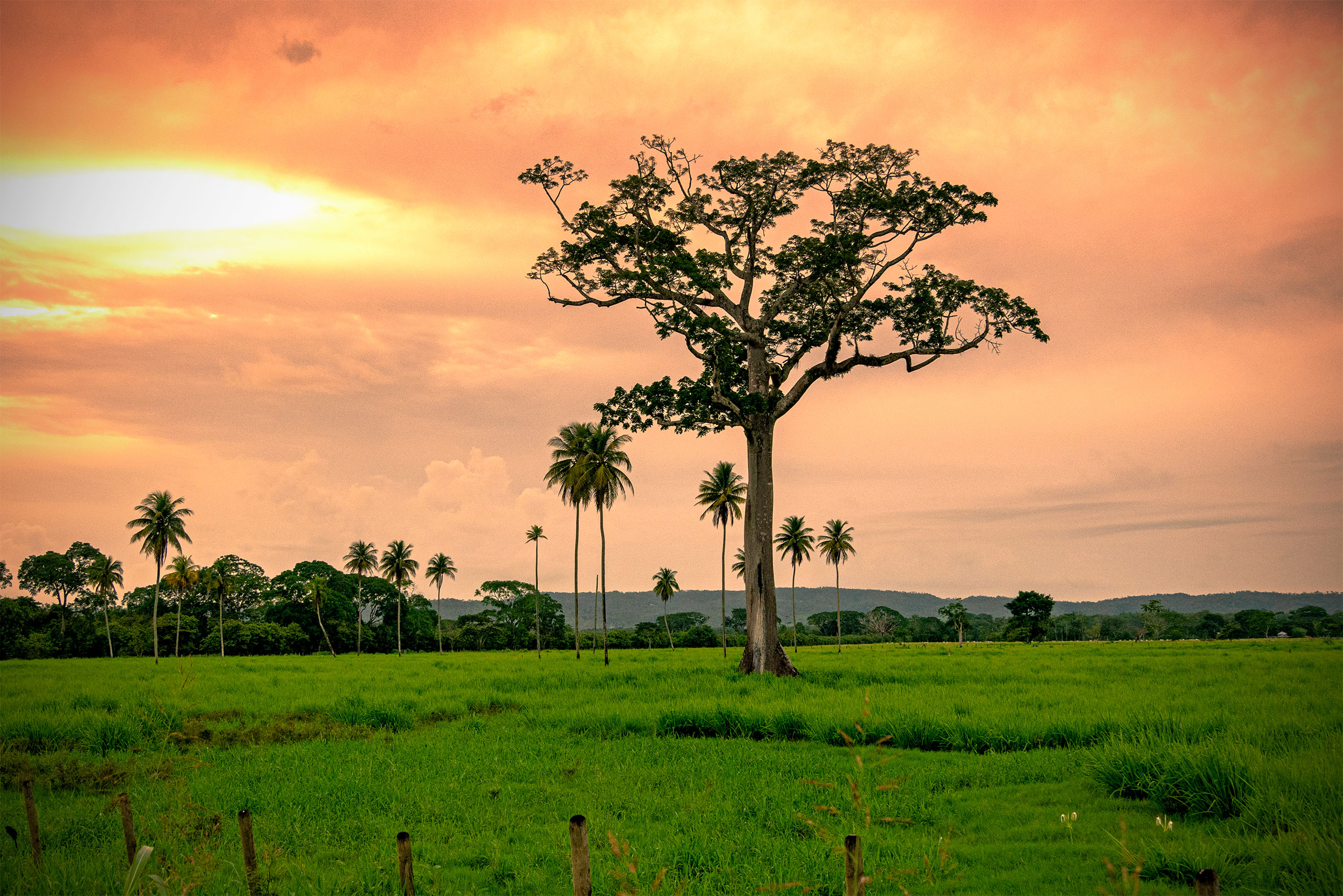 Belize, San Ignacio